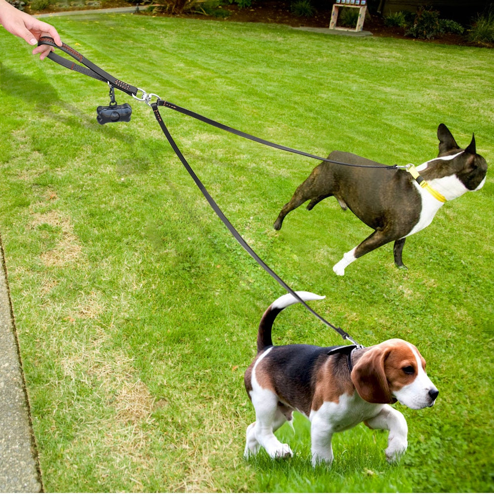 Coleira Dupla para Cachorro Didog de 2 Vias com duas Guias de Couro para Animais de Estimação // Acoplador No Tangle com Alça para Caminhar e treinar 2 cães Pequenos e Médios
