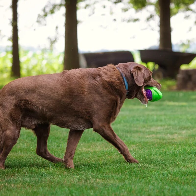 Brinquedos para Cães Dog Toy Football Caitec // Futebol para Cães, Flutuante, Duro e Firme // Para Arremesso ao Ar Livre // Para Cães de Médio a Grande Porte