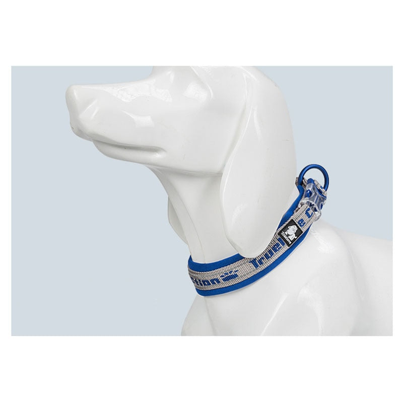 Coleiras Ajustáveis de Náilon para Cães Grandes e Pequenos TRUELOVE // Lindas Coleiras de Neoprene Reflexivo para Cães de Estimação, Resistentes e Macias por dentro. Seu Cãozinho Merece!!!