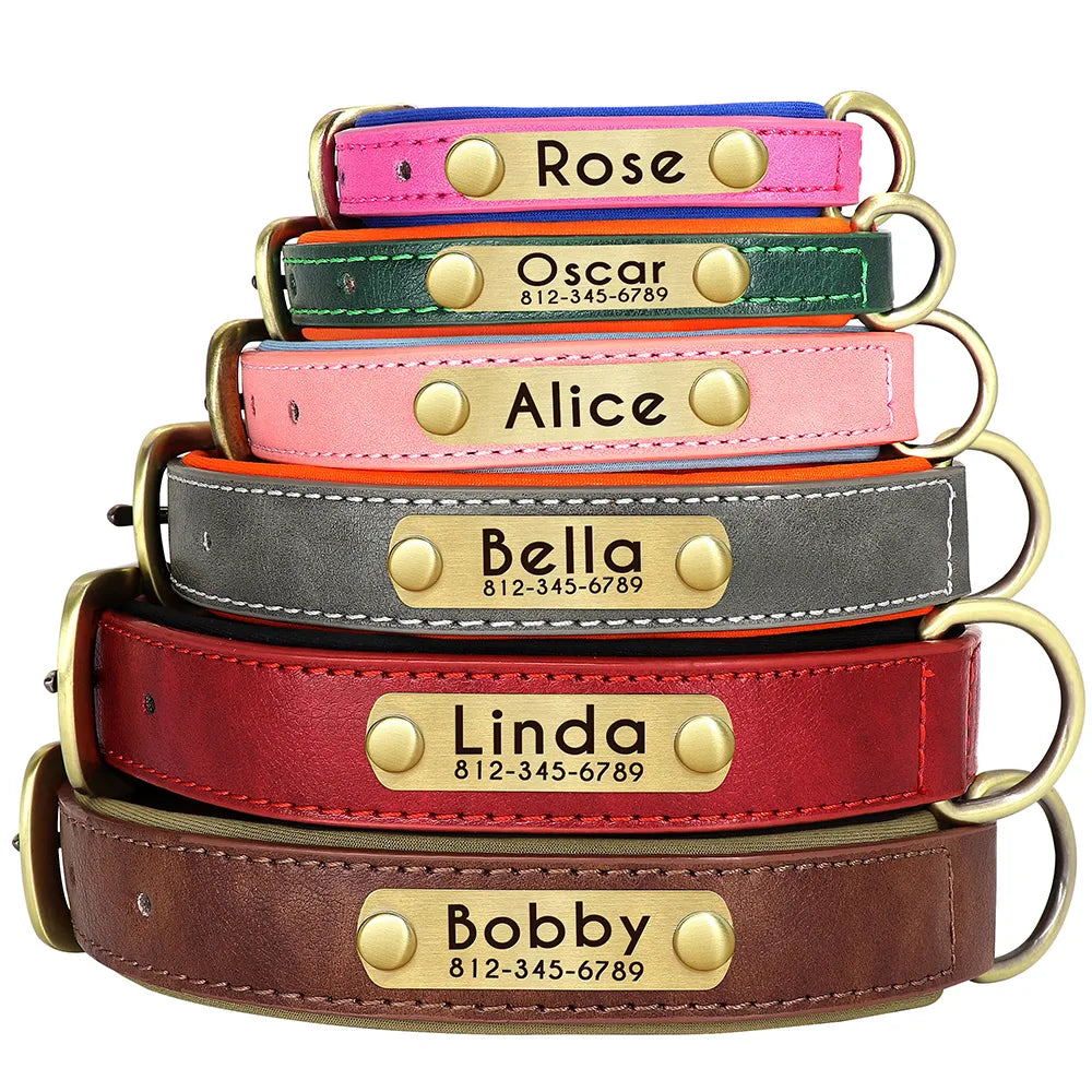 Coleira de Couro Personalizada para Cães // Conjunto de Coleira de Couro Acolchoada e Macia // Para Cães Pequenos, Médios e Grandes // Com Placa de Identificação Gravada Grátis. Um Charme!!!