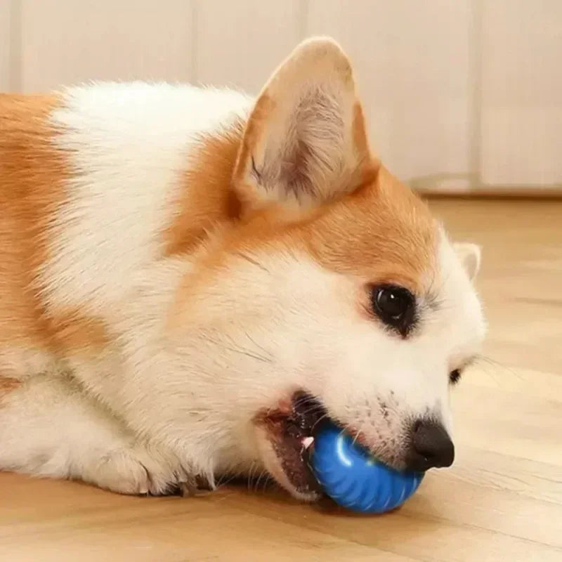 Bola de Brinquedo p/ Cachorro c/ Movimento Automático // Com Rolamento / USB Smarts // Brinquedo Interativo // Bola de Brinquedo p/ Mastigar // Acessórios p/ Cães