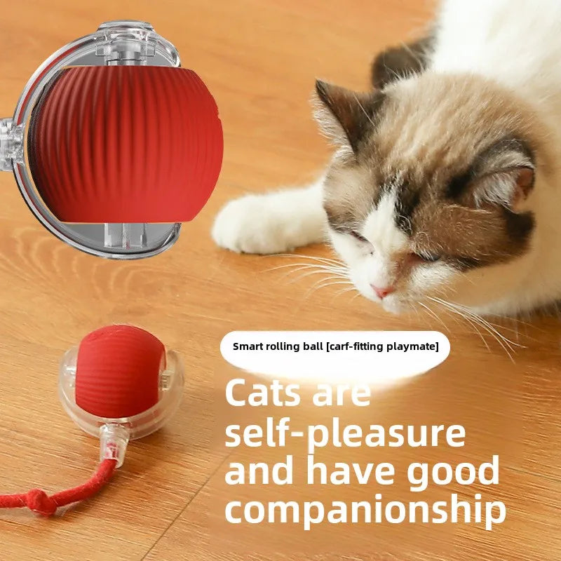 C015 Bola de Brinquedo p/ Gatos // Bola Rolante Inteligente p/ Animais de Estimação // Bola Interativa Automática c/ Cauda