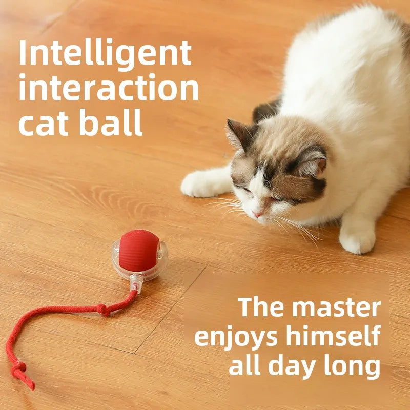 C015 Bola de Brinquedo p/ Gatos // Bola Rolante Inteligente p/ Animais de Estimação // Bola Interativa Automática c/ Cauda