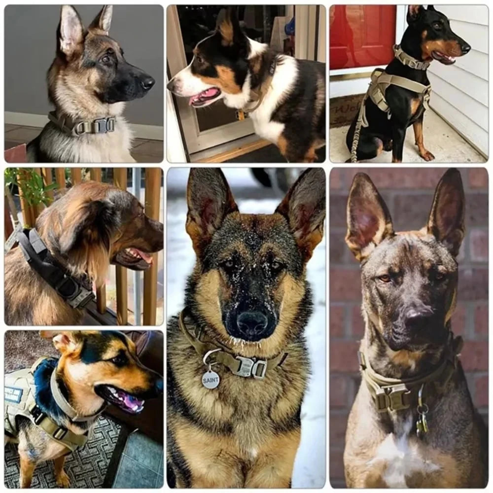 Coleira Tática para Treinamento de Cão Policial // Caminhada Médio e Grande // Pastor Alemão/Rottweiler/Pitbull,etc... // Ajustável, Nylon Duarável