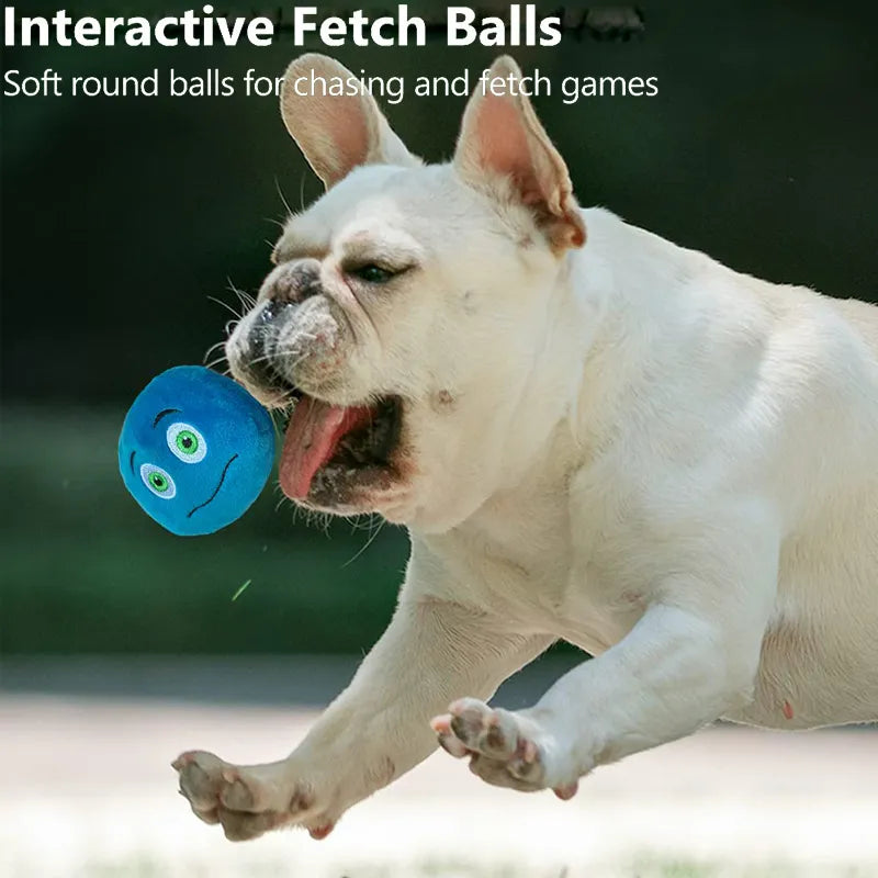 Pet Toy Play Brinquedo para Animais de Estimação // Brinquedo para Morder // Bolas Brilhantes // Suprimentos para Cães, Filhotes / Brinquedos Populares