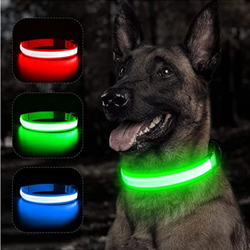 Led Brilhante p/ Cães de Estimação // Coleira COOYOMOO Ajustável Piscando // Coleira Luminosa Recarregável // Uso Noturno Anti-Perda // Luz do Cão