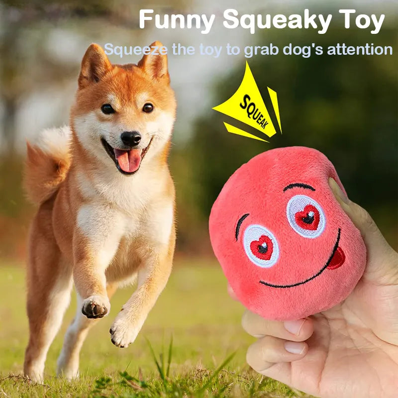 Pet Toy Play Brinquedo para Animais de Estimação // Brinquedo para Morder // Bolas Brilhantes // Suprimentos para Cães, Filhotes / Brinquedos Populares