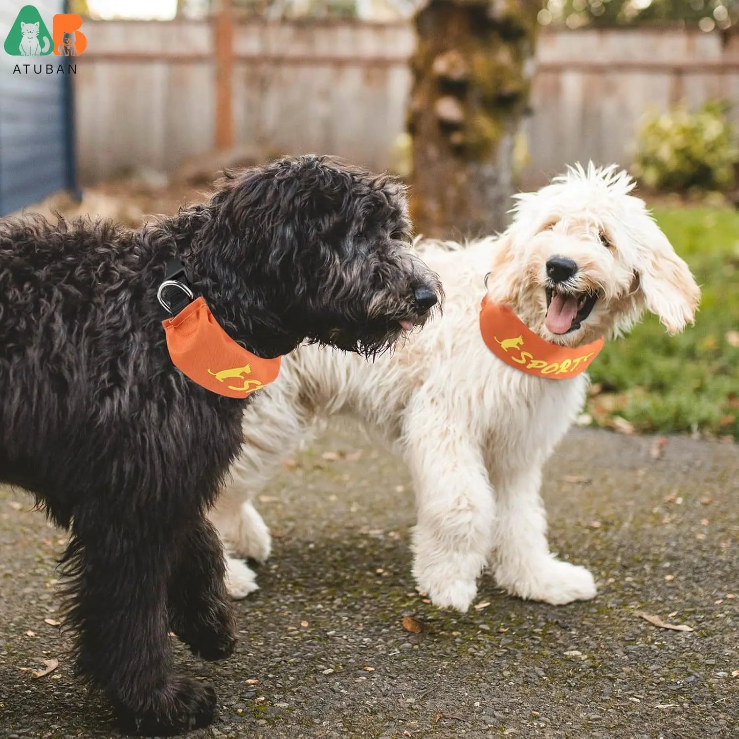 Conjunto de Coleira e Guia ATUBAN p/ Cães // Coleira Multifuncional / Com Guia Retrátil // Coleira Grande c/ Cordão Embutido