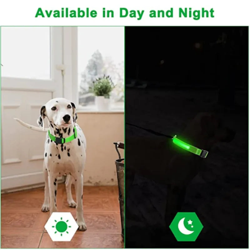 Led Brilhante p/ Cães de Estimação // Coleira COOYOMOO Ajustável Piscando // Coleira Luminosa Recarregável // Uso Noturno Anti-Perda // Luz do Cão
