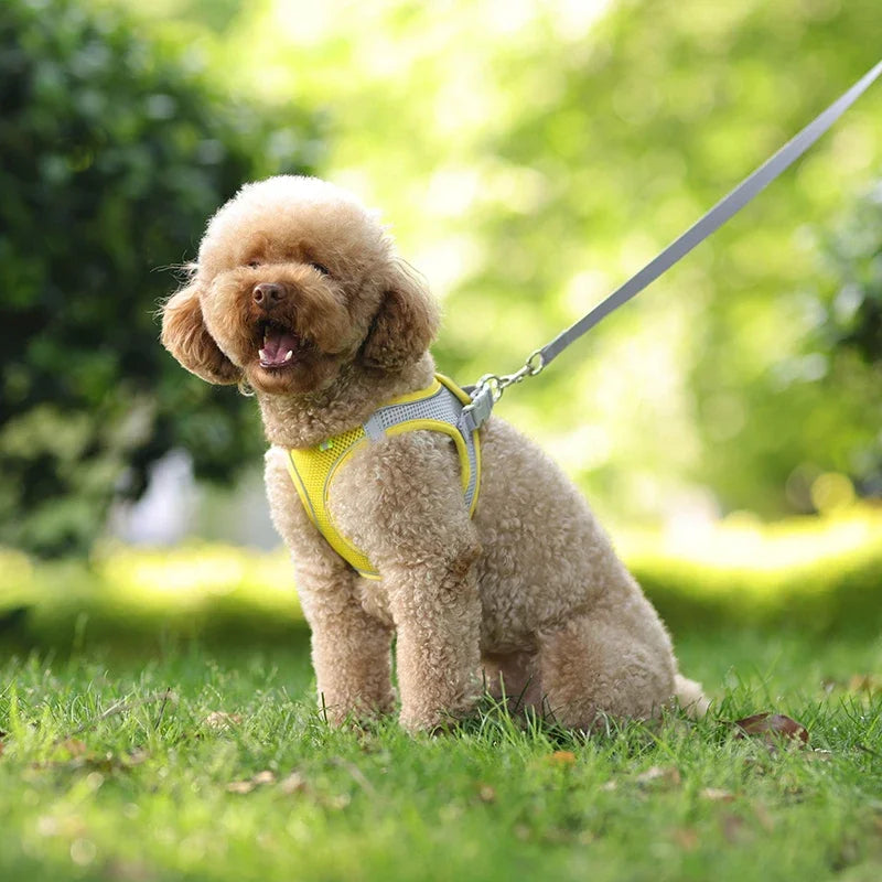 Coleira Peitoral p/ Cachorros // Acessórios p/ Cães // Arreios Ajustáveis p/ Cachorros e Gatos // Tipo Colete p/ Cachorro Pequeno // Buldogue Francês, Chihuahua
