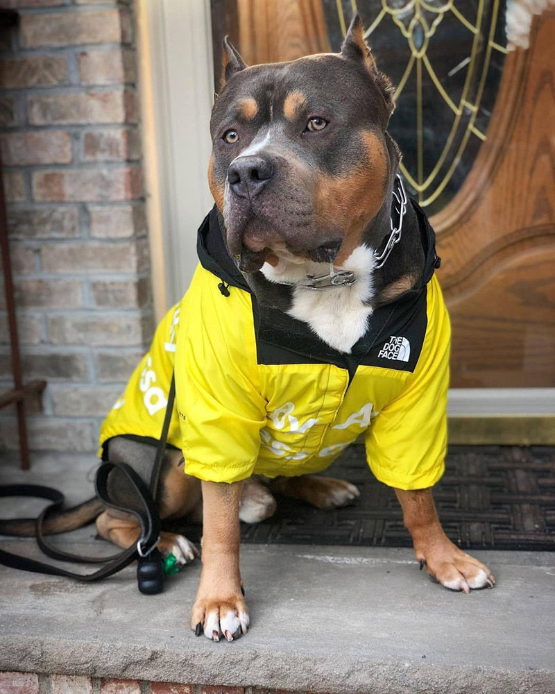 Moletom / Capa de Chuva com Capuz para Cães YOUDUDU // Roupas para Cães Pequenos e Grandes // Casaco Corta-Vento // Bulldog Francês / Chihuahua etc.
