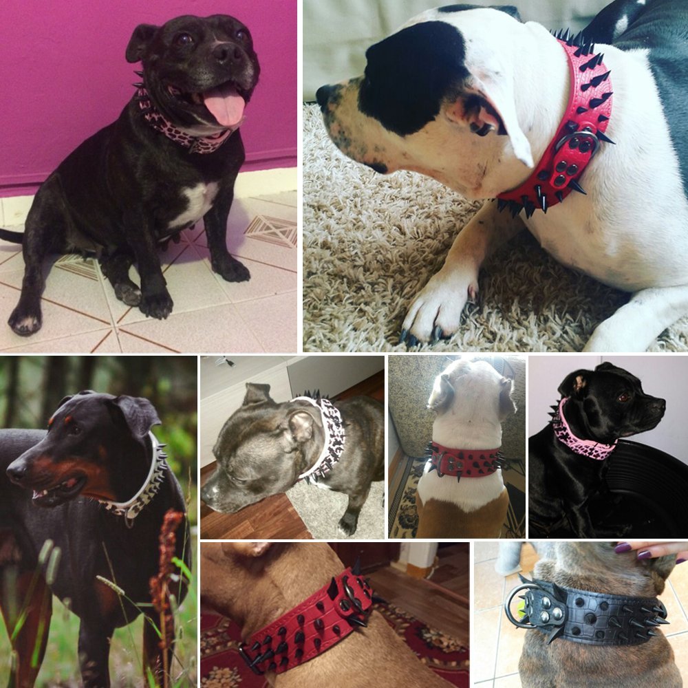 Coleiras de Couro Cravejado PET ARTIST para Cães Pitbull/Bulldog/American Bully, Etc... // Largas e Pontiagudas // Ajustável para tamanho Médio/Grande // Seu Cachorro na Moral!!!