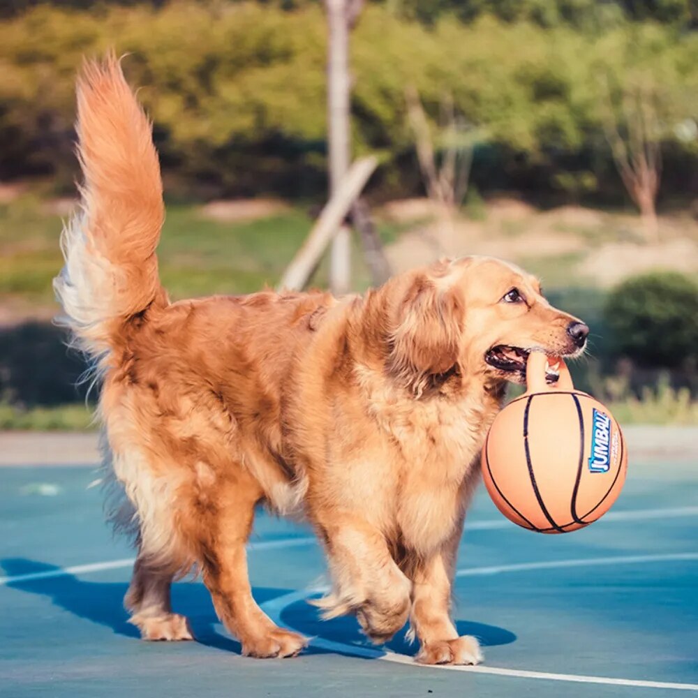 Bola de Brinquedo NONE para Animais de Estimação // Bola de Futebol p/ Mordida // p/ Cachorro Grande, Golden Retriever, Labrador, Alasca, etc... // Excelente Brinquedo Interativo de Arremesso