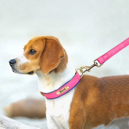 Coleira de Couro Personalizada para Cães // Conjunto de Coleira de Couro Acolchoada e Macia // Para Cães Pequenos, Médios e Grandes // Com Placa de Identificação Gravada Grátis. Um Charme!!!