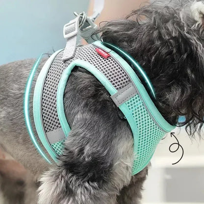 Coleira Peitoral p/ Cachorros // Acessórios p/ Cães // Arreios Ajustáveis p/ Cachorros e Gatos // Tipo Colete p/ Cachorro Pequeno // Buldogue Francês, Chihuahua