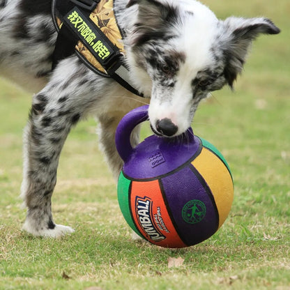 Bola de Brinquedo NONE para Animais de Estimação // Bola de Futebol p/ Mordida // p/ Cachorro Grande, Golden Retriever, Labrador, Alasca, etc... // Excelente Brinquedo Interativo de Arremesso