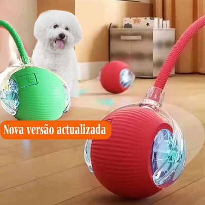 Brinquedo de Bola Inteligente p/ Cães // Novo Brinquedo Itnerativo em Forma de Bola p/ Cães // Bola Automática Rolante Recarregável // Brinquedo Inteligente p/ Filhotes