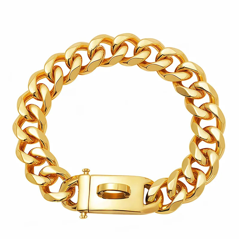 Coleira Dourada de Aço Inoxidável p/ Cães // Com 19 mm de Largura // Ideal p/ Cães de Porte Médio e Grande // Como Bulldog Francês, Labrador Retriever, etc