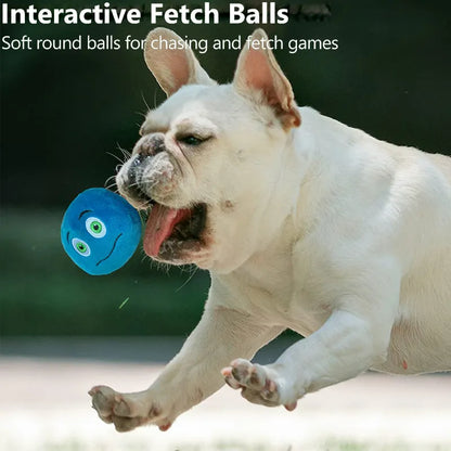 Pet Toy Play Brinquedo para Animais de Estimação // Brinquedo para Morder // Bolas Brilhantes // Suprimentos para Cães, Filhotes / Brinquedos Populares