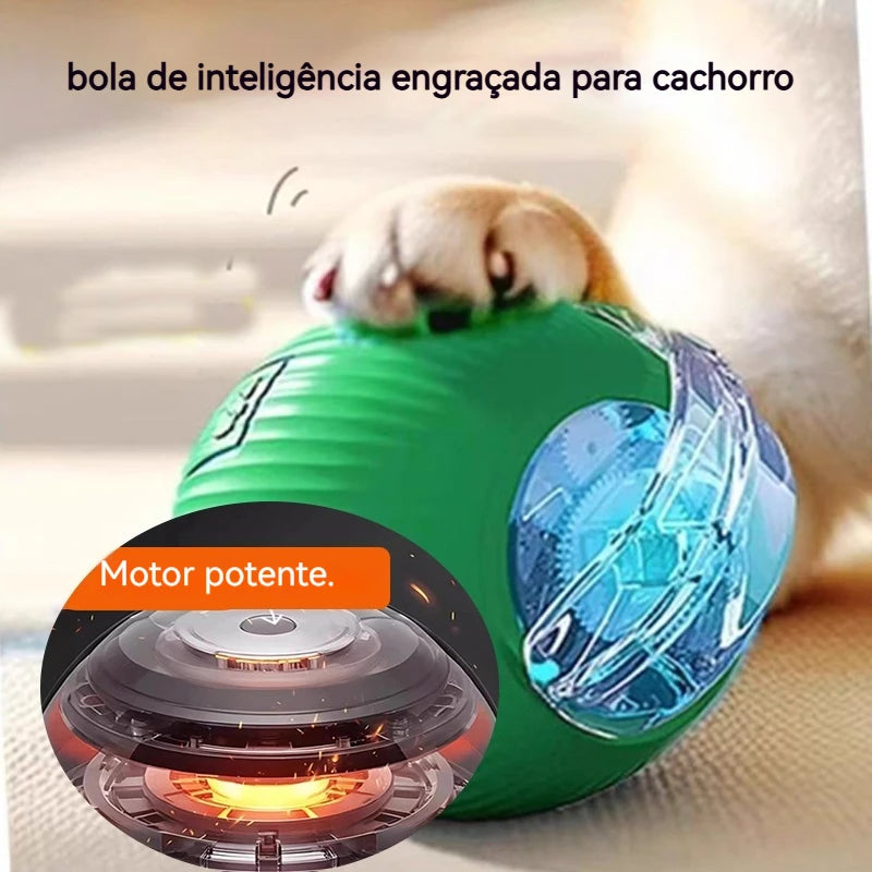 Brinquedo de Bola Inteligente p/ Cães // Novo Brinquedo Itnerativo em Forma de Bola p/ Cães // Bola Automática Rolante Recarregável // Brinquedo Inteligente p/ Filhotes