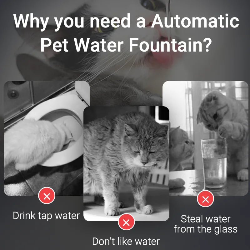 Fonte de Água Inteligente ROJECO p/ Gatos e Cães // Dispensador Automático de Água Purificadora c/ Filtros de Recirculação.