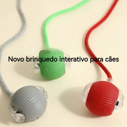 Brinquedo de Bola Inteligente p/ Cães // Novo Brinquedo Itnerativo em Forma de Bola p/ Cães // Bola Automática Rolante Recarregável // Brinquedo Inteligente p/ Filhotes