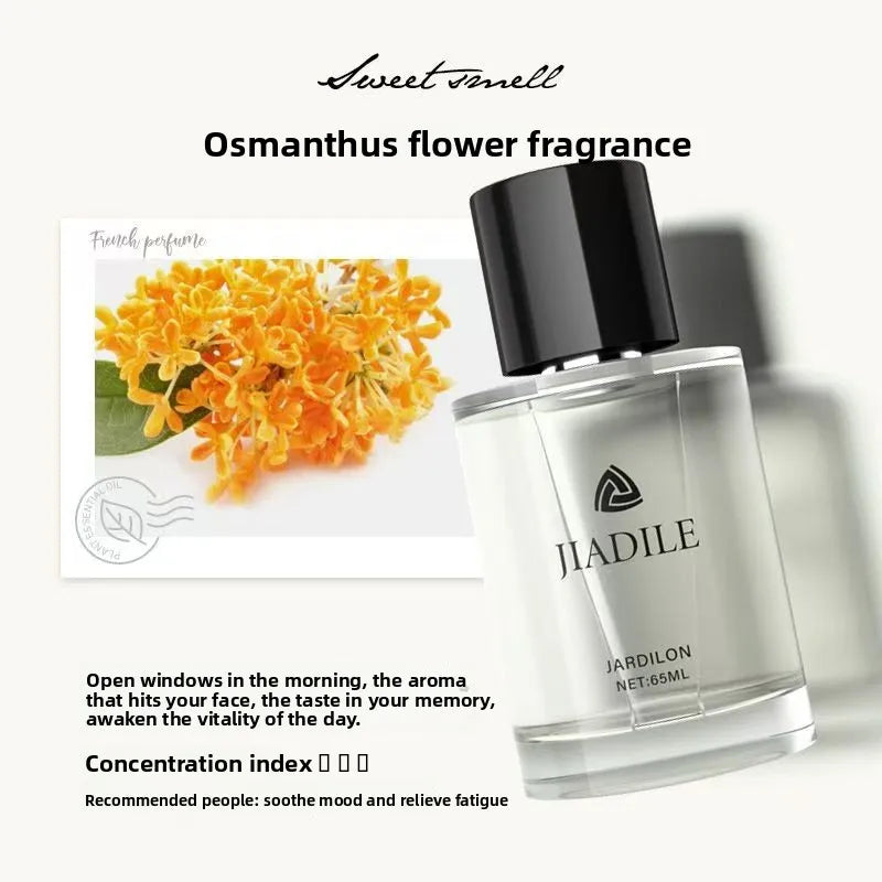 Perfume p/ Carro Spray // Fragrância Leve e Duradoura // Colônia Autêntica p/ Homens e Mulheres // Aromaterapia Automotiva de Alta Qualidade Premium