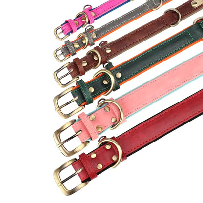 Coleira de Couro Personalizada para Cães // Conjunto de Coleira de Couro Acolchoada e Macia // Para Cães Pequenos, Médios e Grandes // Com Placa de Identificação Gravada Grátis. Um Charme!!!
