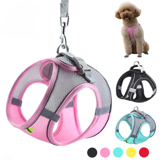 Coleira Peitoral p/ Cachorros // Acessórios p/ Cães // Arreios Ajustáveis p/ Cachorros e Gatos // Tipo Colete p/ Cachorro Pequeno // Buldogue Francês, Chihuahua