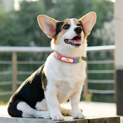 Coleira Personalizada PET ARTIST Bling // Colar Anti-Perda Personalizável para Identificação de Animal de Estimação // Colar Ajustável para Animais de Estimação