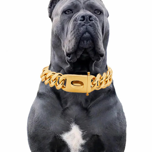 Coleira Dourada de Aço Inoxidável p/ Cães // Com 19 mm de Largura // Ideal p/ Cães de Porte Médio e Grande // Como Bulldog Francês, Labrador Retriever, etc
